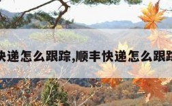 顺丰快递怎么跟踪,顺丰快递怎么跟踪查询