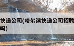 哈尔滨快递公司(哈尔滨快递公司招聘分拣员有假日吗)