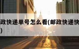 中国邮政快递单号怎么看(邮政快递快递单号怎么看)