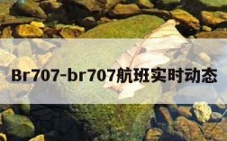 Br707-br707航班实时动态