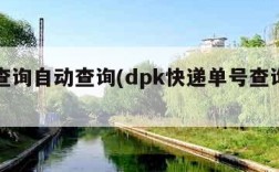 单号查询自动查询(dpk快递单号查询自动查询)