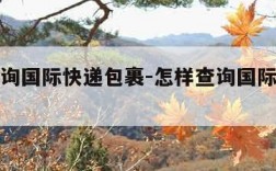 怎样查询国际快递包裹-怎样查询国际快递包裹信息