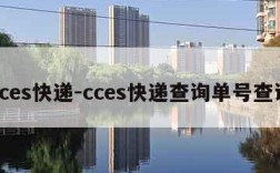 cces快递-cces快递查询单号查询