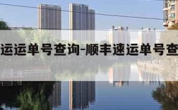 顺丰速运运单号查询-顺丰速运单号查询爱查快递