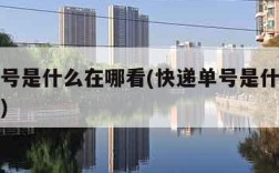 快递单号是什么在哪看(快递单号是什么在哪看图片)
