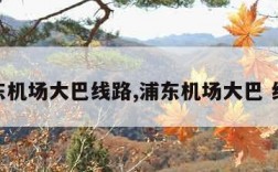 浦东机场大巴线路,浦东机场大巴 线路
