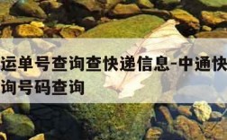 中通快运单号查询查快递信息-中通快运快递单号查询号码查询