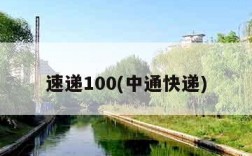 速递100(中通快递)
