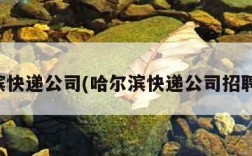 哈尔滨快递公司(哈尔滨快递公司招聘司机)