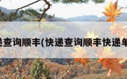 快递查询顺丰(快递查询顺丰快递单号)