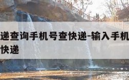 中通快递查询手机号查快递-输入手机号找订单物流快递