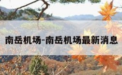 南岳机场-南岳机场最新消息