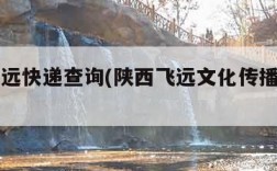 陕西飞远快递查询(陕西飞远文化传播有限公司)