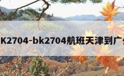 BK2704-bk2704航班天津到广州