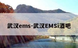 武汉ems-武汉EMSi酒吧