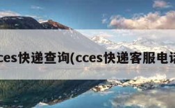 cces快递查询(cces快递客服电话)