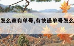 查快递怎么查有单号,有快递单号怎么查快递的进度