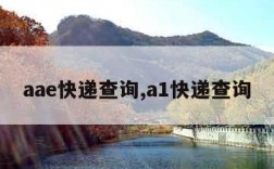 aae快递查询,a1快递查询