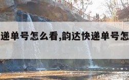 韵达快递单号怎么看,韵达快递单号怎么看是哪个