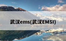 武汉ems(武汉EMSI)